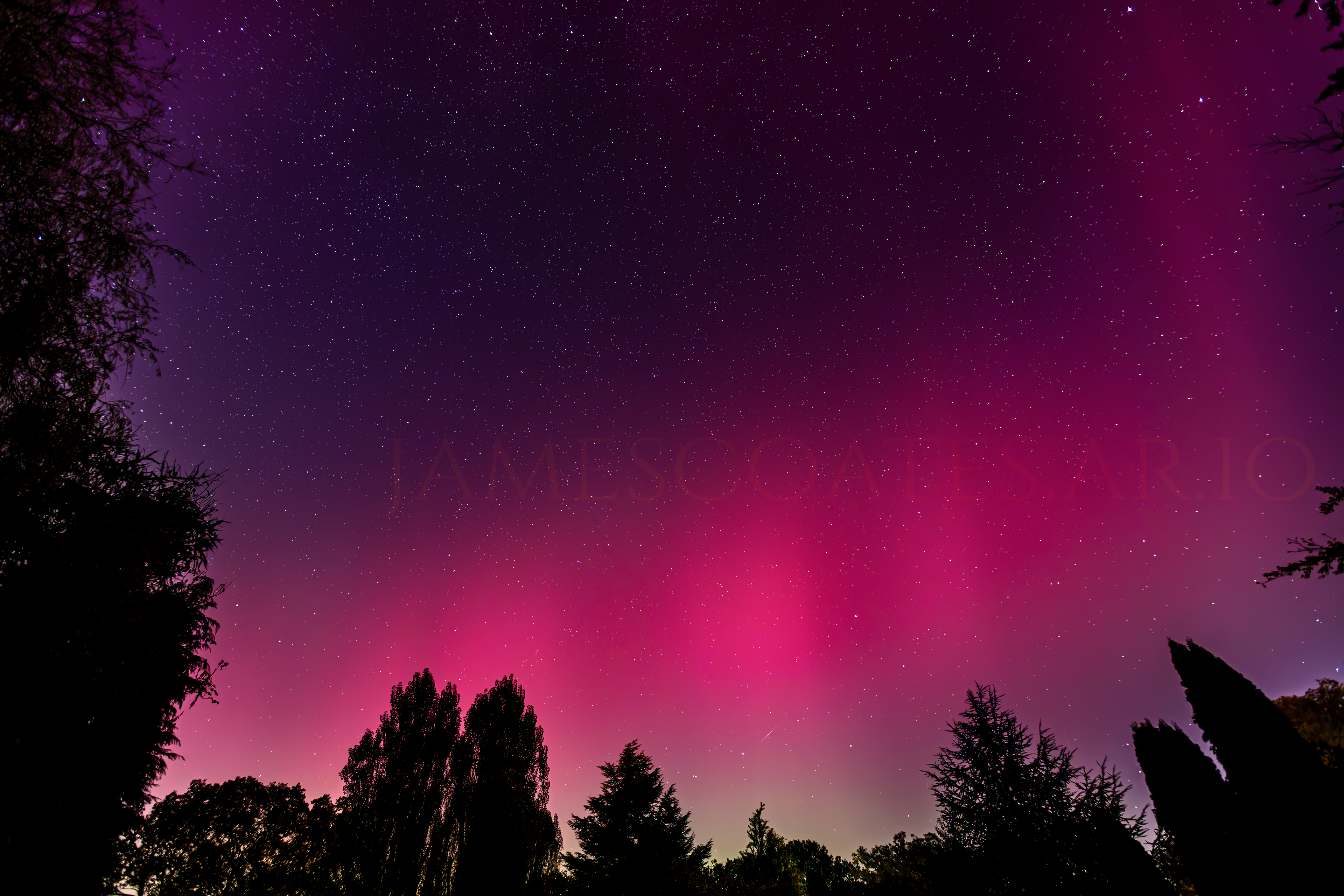 An aurora burning red and violet above a treeline